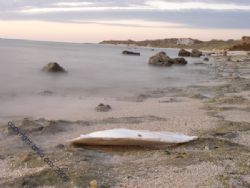 deserted beach western Australian coast Cuttlefish Shell.... by Brad Cox 